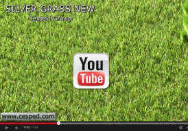 Césped Artificial Silver Grass New